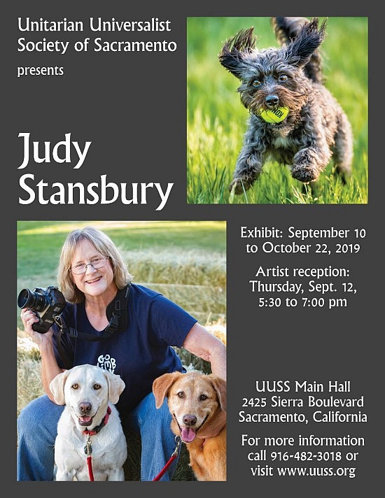 Judy Stansbury Poster 85x11