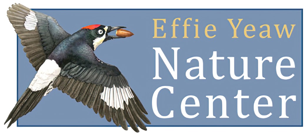 effie yeaw nature center logo2