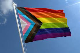 pride progress flag