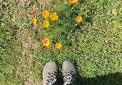 feet and flower