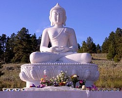Pure Land Buddhism and Soka Gakkai