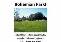 Bohemian Park public hearing flyer July 2018 (1)
