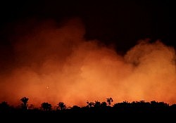 Fires in Amazon