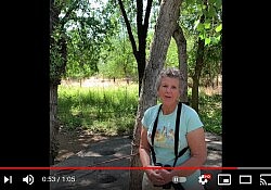 2021-05-20 15_40_06-Brief look at our 100-acre Community Partner - Effie Yeaw Nature Center - YouTub