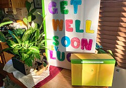lucy get well soon-hq-scale-2_00x