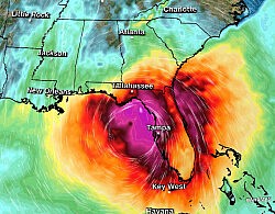 Hurricane Disaster Relief Donations for Affected UU Communities