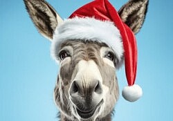 xmas donkey